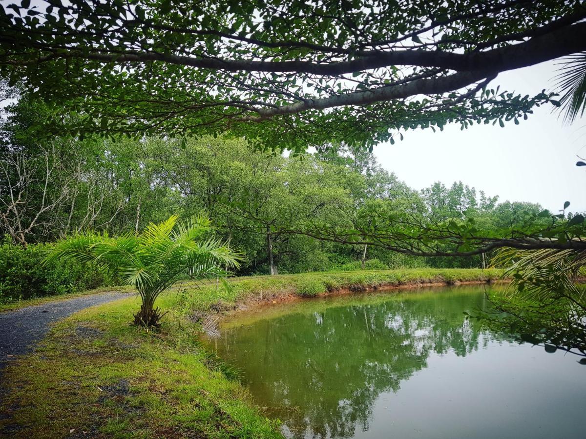 Calm At Bangphat Bor Saen Luaran gambar